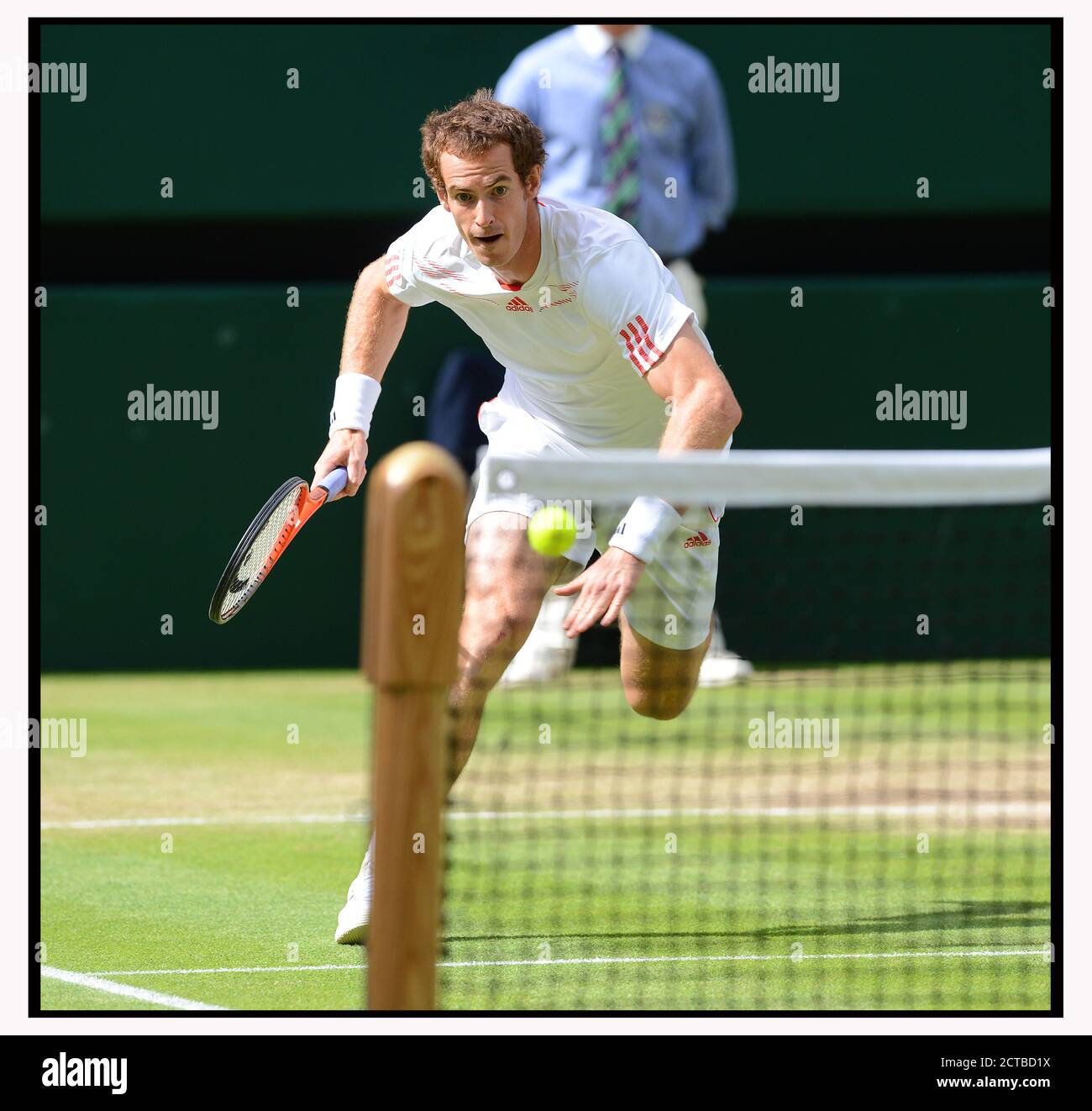 ANDY MURRAY AUF DEM WEG ZUM SIEG GEGEN JO-WILFRIED TSONGA IM MNS-HALBFINALE. WIMBLEDON 2012. BILD :© MARK PAIN /ALAMY STOCK FOTO Stockfoto