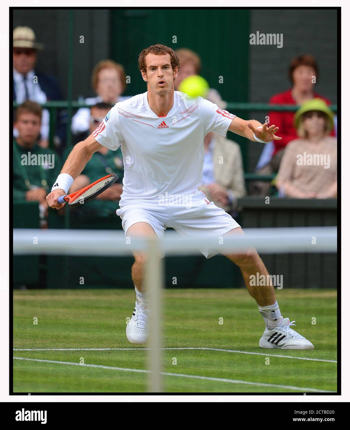 ANDY MURRAY AUF DEM WEG ZUM SIEG GEGEN JO-WILFRIED TSONGA IM MNS-HALBFINALE. WIMBLEDON 2012. BILD :© MARK PAIN /ALAMY STOCK FOTO Stockfoto