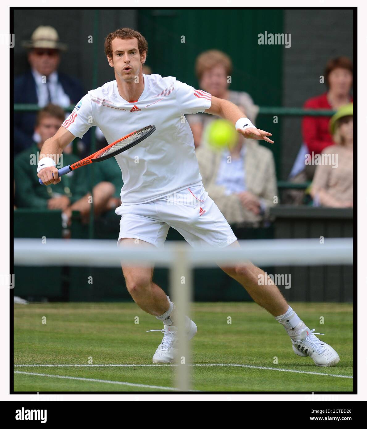 ANDY MURRAY AUF DEM WEG ZUM SIEG GEGEN JO-WILFRIED TSONGA IM MNS-HALBFINALE. WIMBLEDON 2012. BILD :© MARK PAIN /ALAMY STOCK FOTO Stockfoto