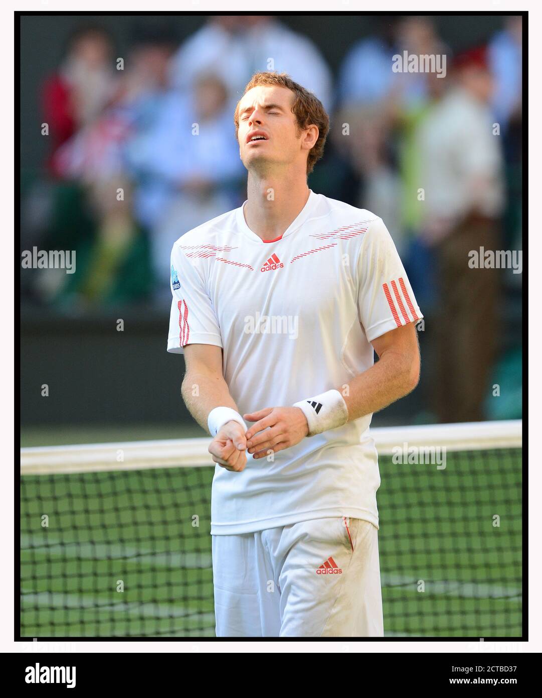 ANDY MURRAY AUF DEM WEG ZUM SIEG GEGEN JO-WILFRIED TSONGA IM MNS-HALBFINALE. WIMBLEDON 2012. BILD :© MARK PAIN /ALAMY STOCK FOTO Stockfoto