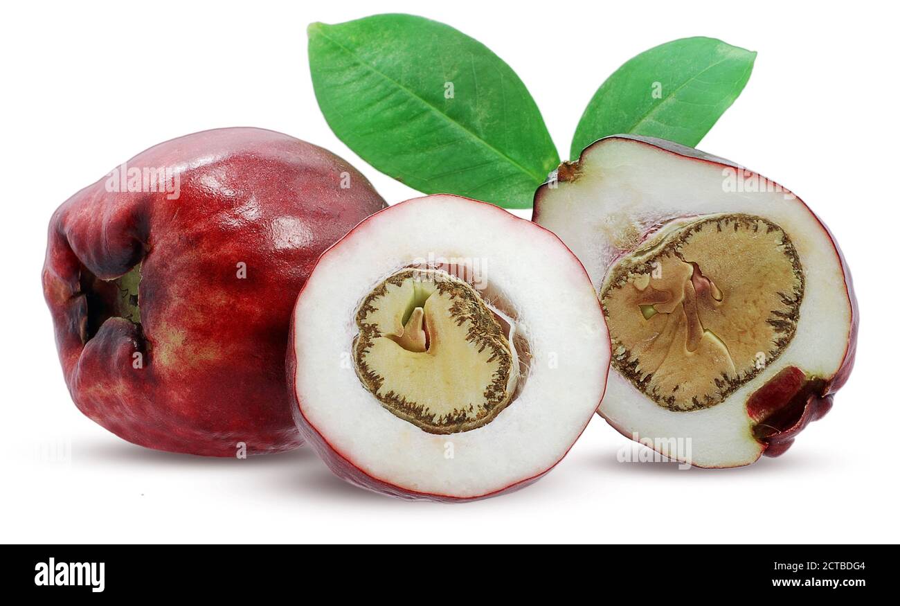 Malaiische apfelfrucht isoliert auf weißem Grund Stockfoto
