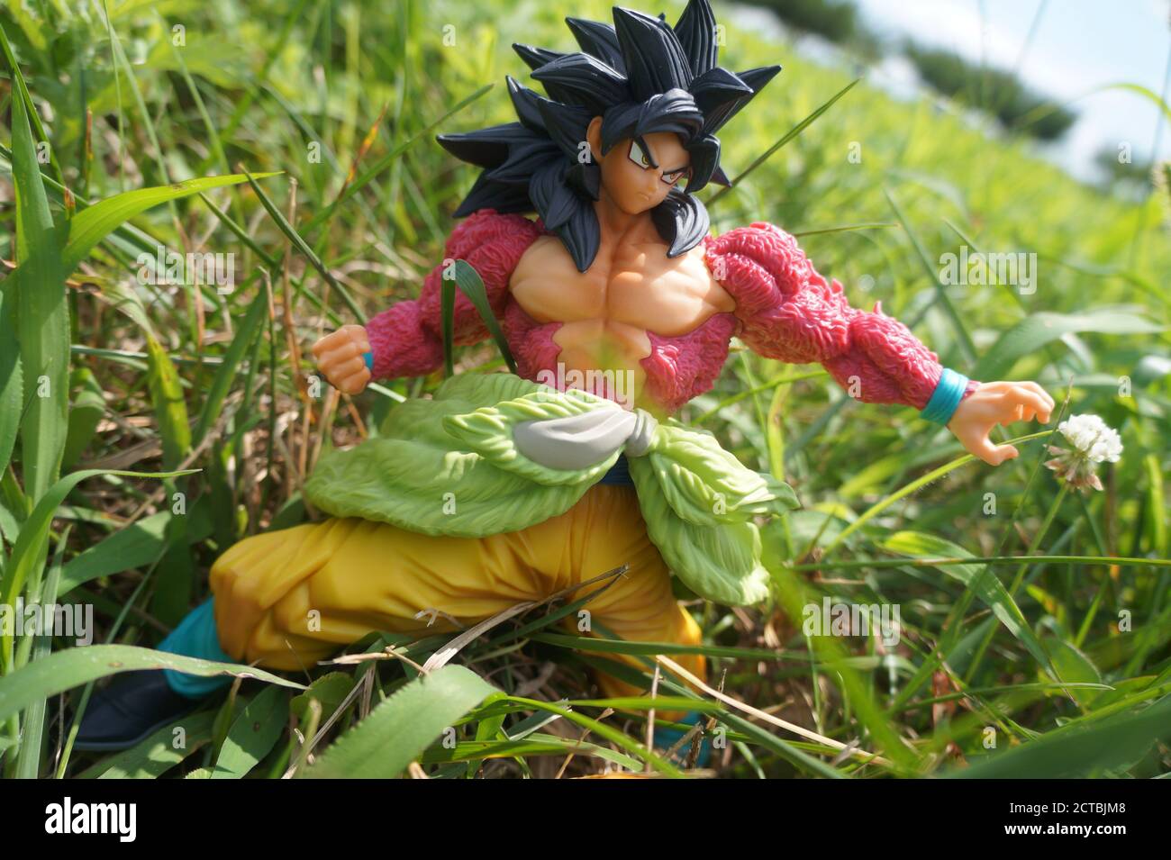 Natur, Leben Stockfoto