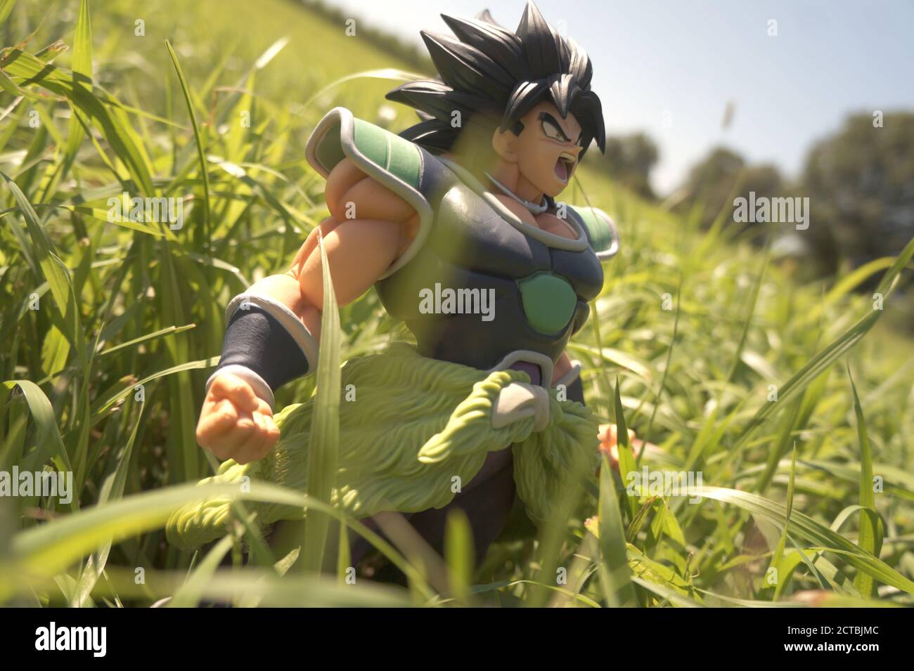 Natur, Leben Stockfoto