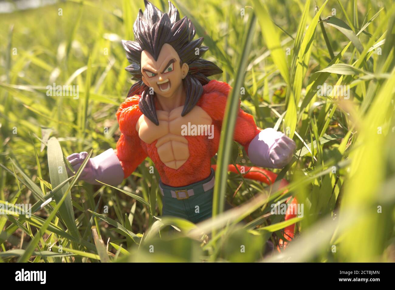 Natur, Leben Stockfoto