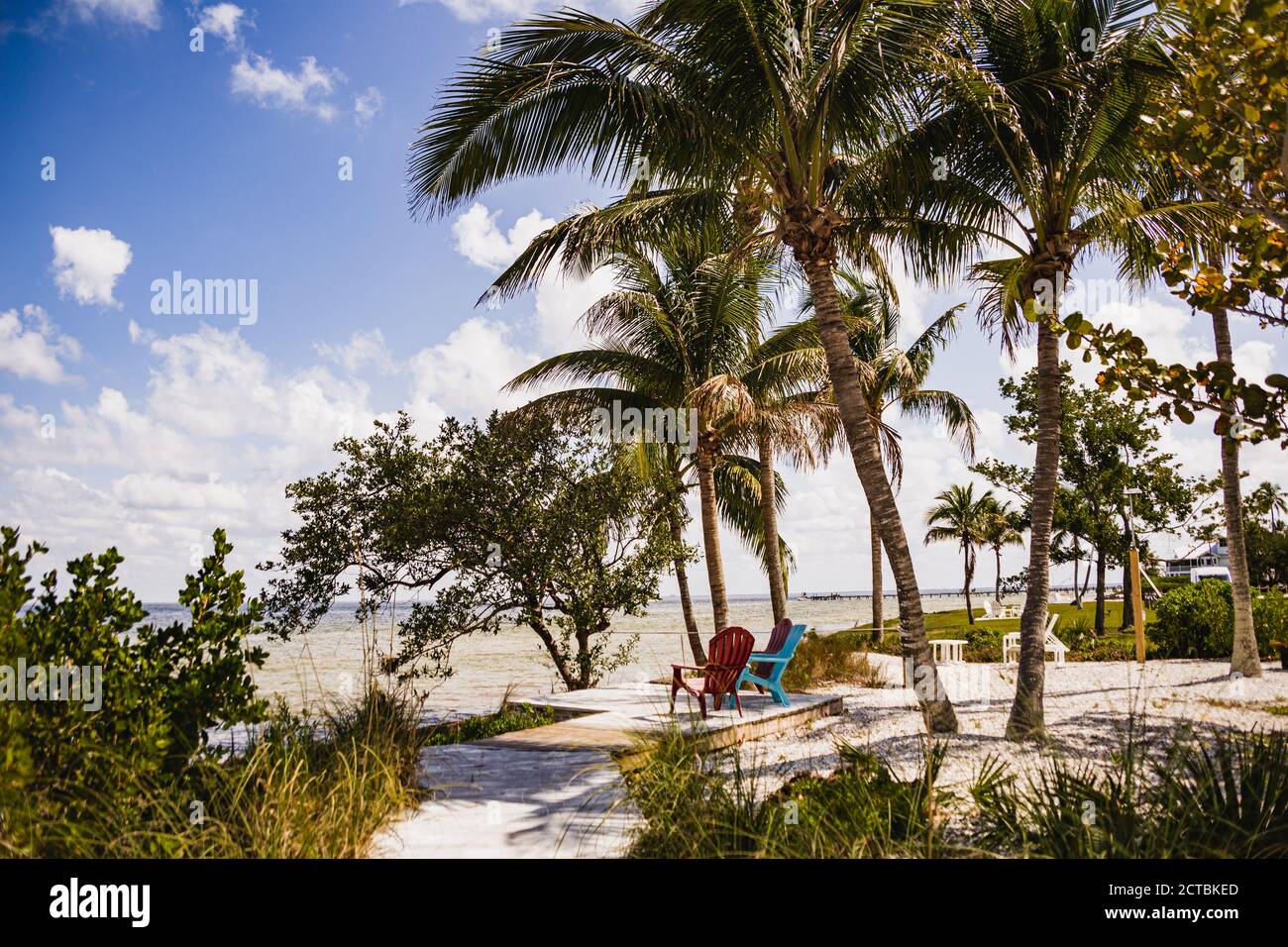 Adirondack-Stühle am Bokeelia Beach, Florida mit blauem Himmel, Wolken und Palmen Stockfoto