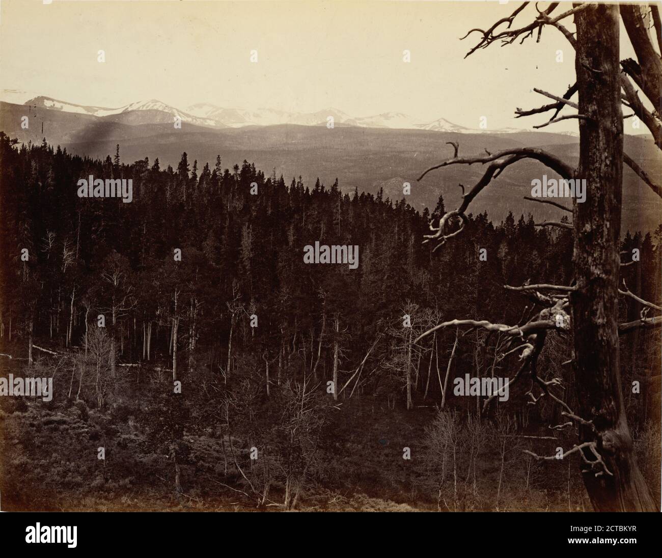 Schnee und Holzlinie, Laramie Mountains., Standbild, Fotografien, 1869, Russell, Andrew J Stockfoto