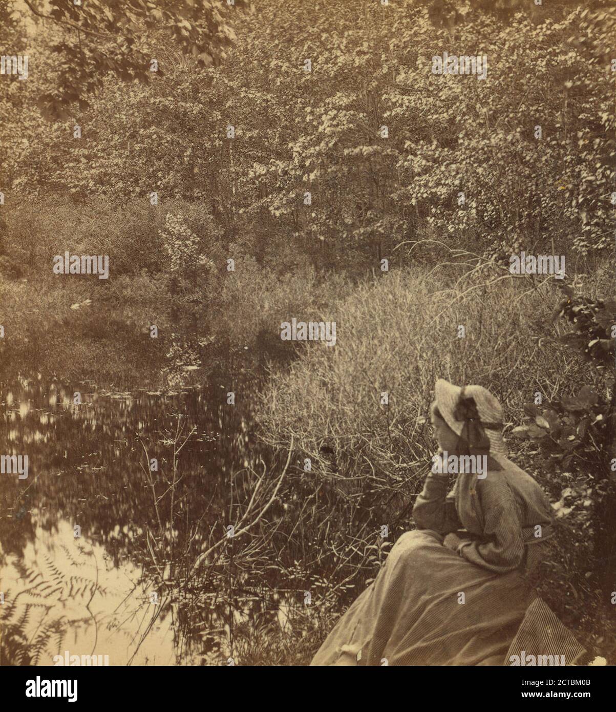 Solitude., Heywood, John B. (d. 1870 ), New Hampshire, White Mountains (N.H. und ich Stockfoto