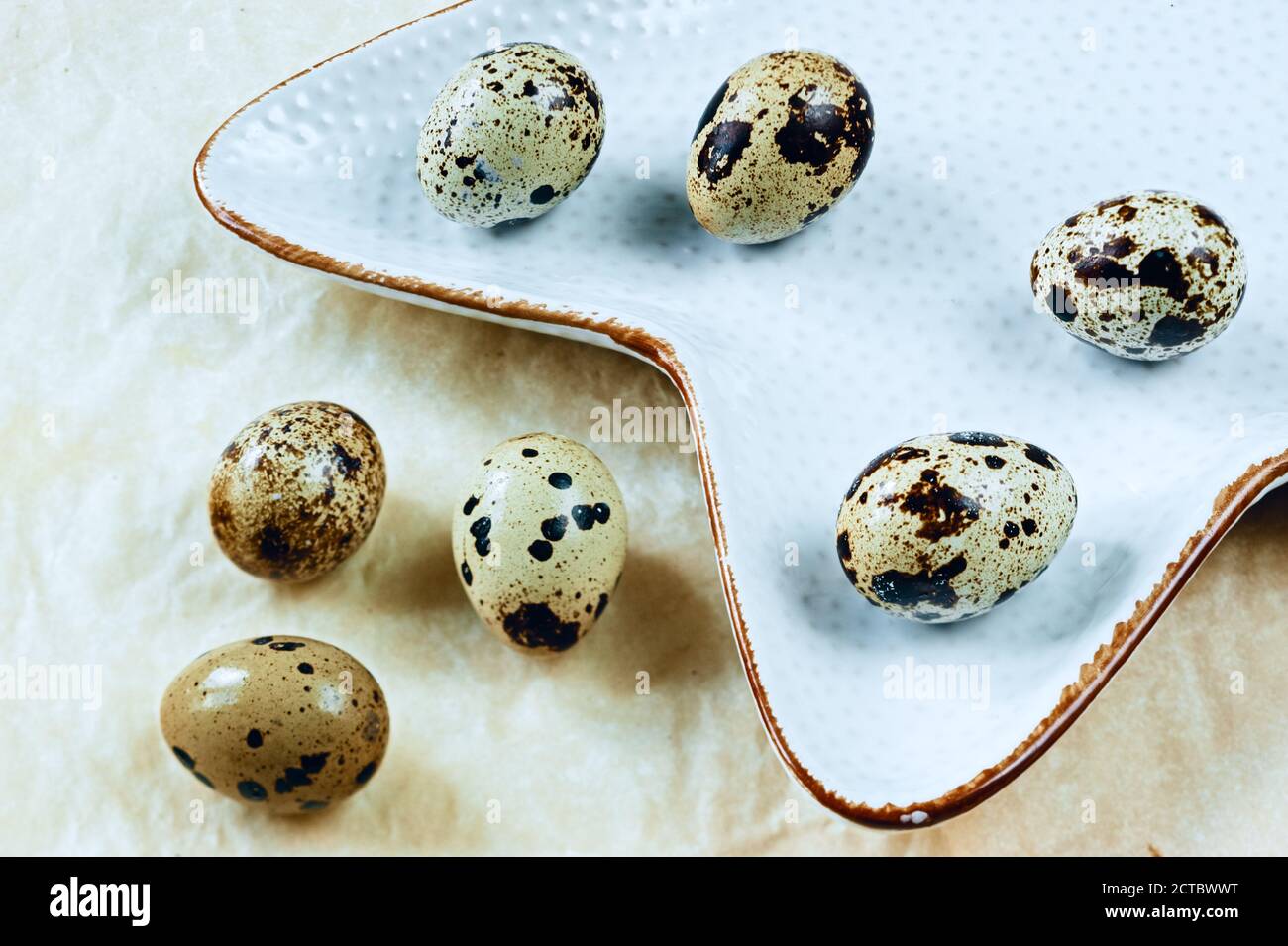 Sieben rohe Wachtel Geflügel Eier in Schale in Teller und Tisch bedeckt mit Kochpapier Nahaufnahme Stockfoto