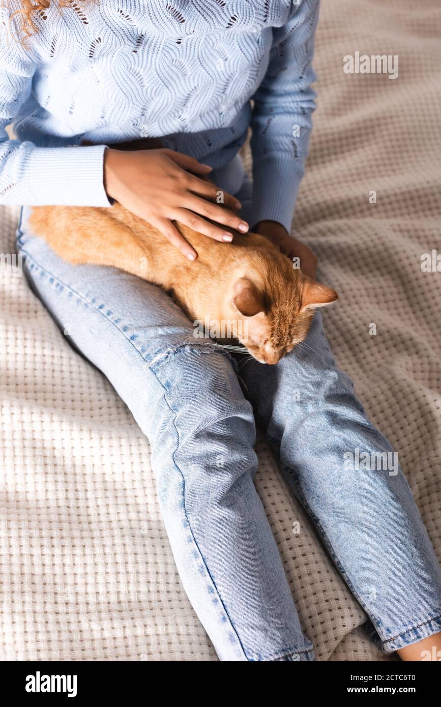 Blick aus der Höhe der Frau streichelte Ingwer Katze auf dem Bett Stockfoto