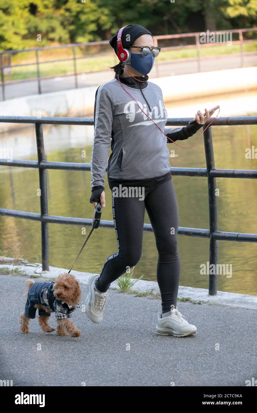 Eine Frau, die mit ihrem Hund einen Übungsspaziergang macht, der ein Kostüm aus karierten Hemden und Denim-Hosen trägt. In Queens, New York City. Stockfoto