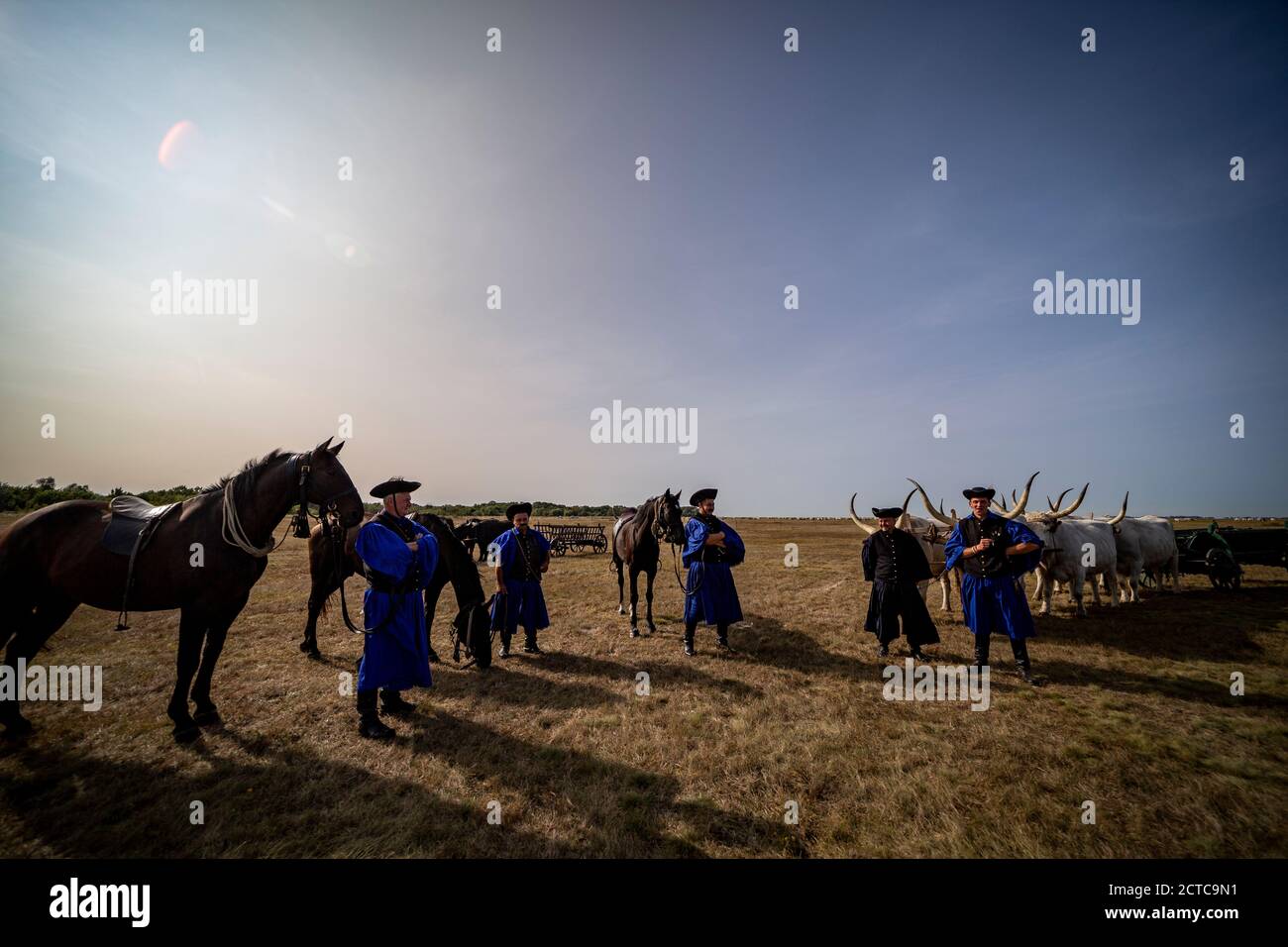 Traditionelle ungarische Ranglers auf den Feldern im ländlichen Ungarn Stockfoto