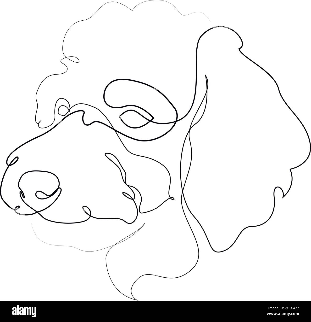 Pudel Vektor Hund Porträt. Durchgehende Linie. Zeichnung der Hundelinie Stock Vektor