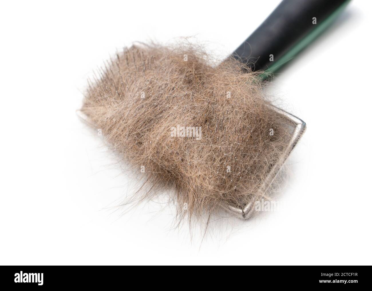 Katzenbürste mit Katzenhaar. Nahaufnahme. Bürste für die Pflege von Drahtborsten. Orange / braune Pelz am Kamm kleben. Knoten putzen und mittleren, unter- oder Wintermantel entfernen. Stockfoto