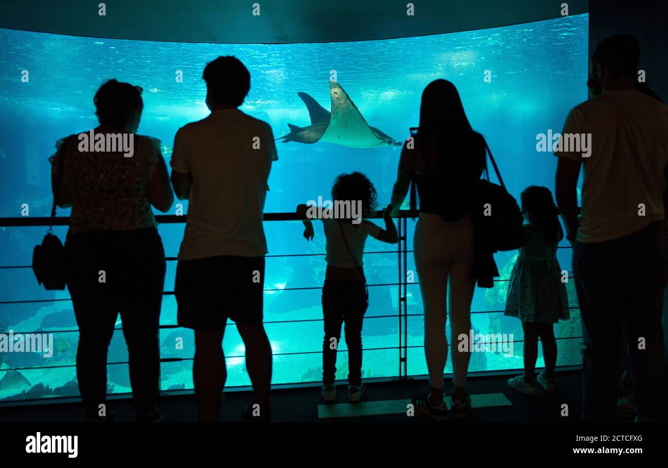 Lissabon, Lissabon, Portugal, 16. August 2020. Touristen besuchen das Ozeanium Aquarium. © Peter Schatz / Alamy Stock Photos Stockfoto