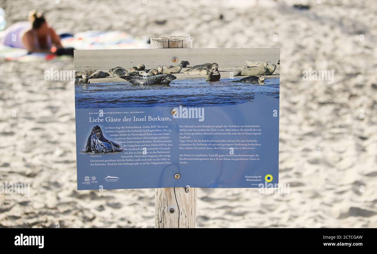 Wattenmeer Nationalpark Infotafel auf Deutsch am Strand von Borkum Insel, Friesland, Niedersachsen, Deutschland, Europa. Stockfoto