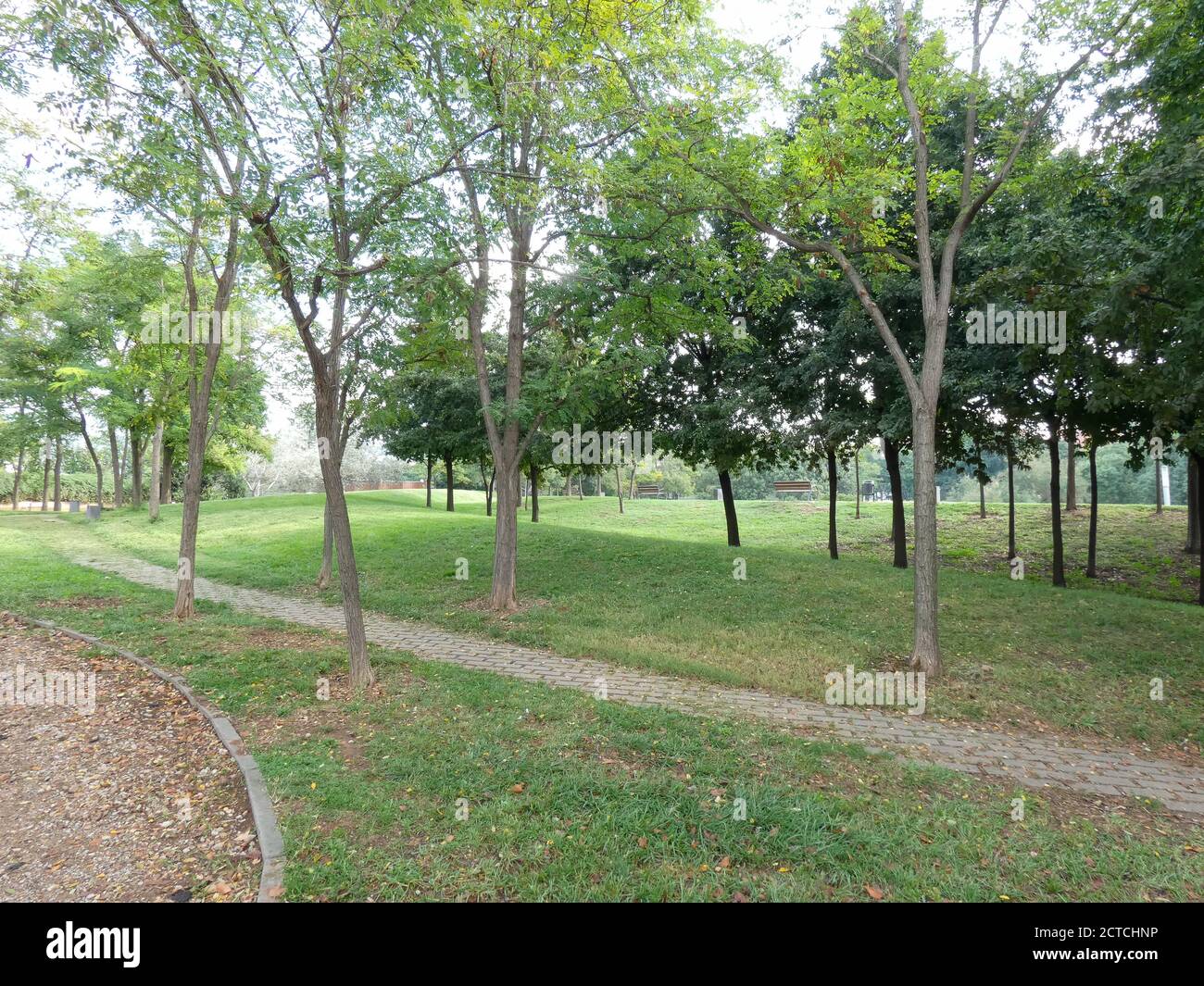 Grünes Gras, Bäume, Frische, Garten oder öffentlicher Park innerhalb einer Kleinstadt. Gepflegter Park und jeden Morgen als erstes bewässert Stockfoto