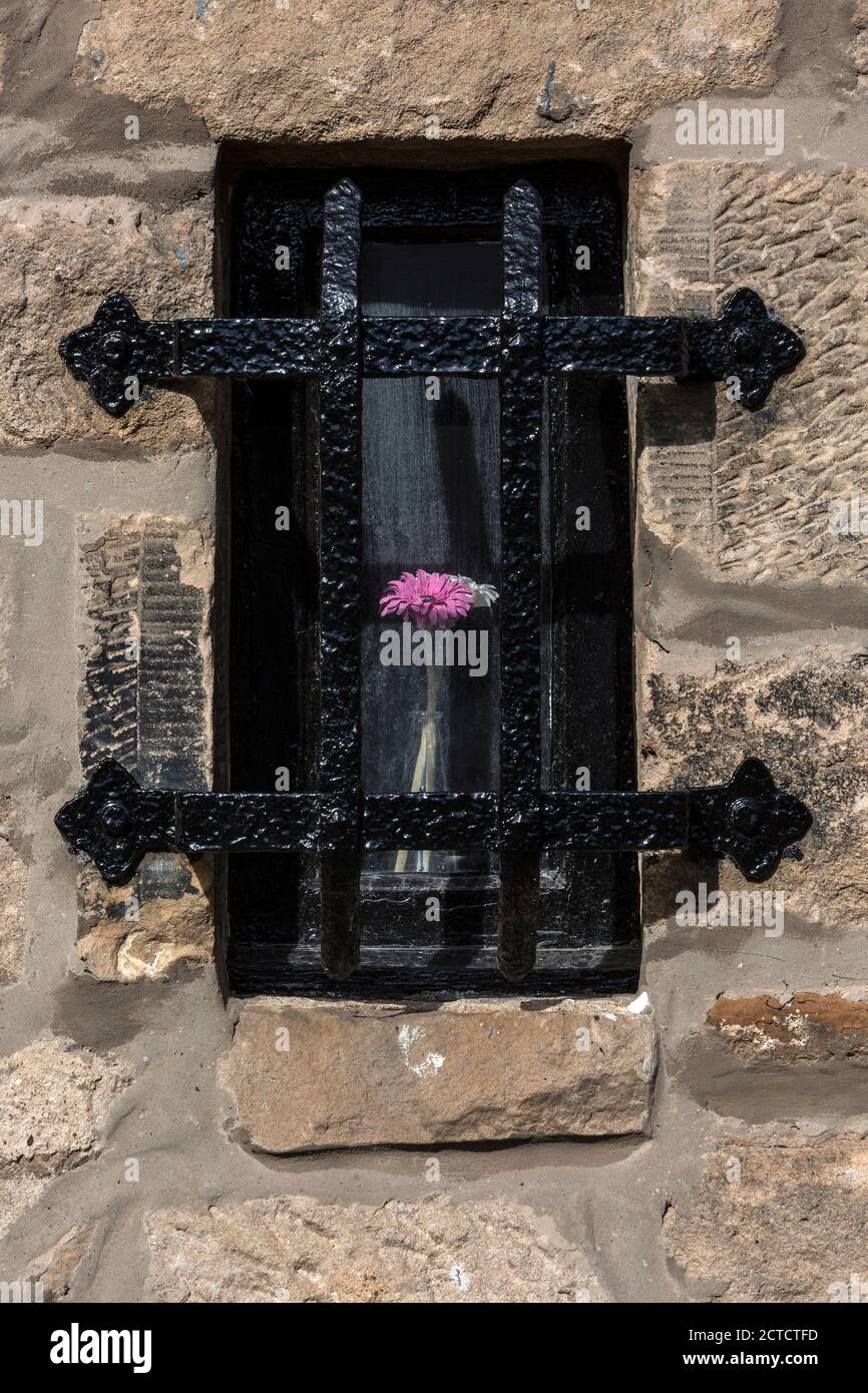 Schwarzer Fensterrahmen aus Sandstein mit schwarzem Metallgrill und Vase, St. Monans, Fife, Schottland, UK. Stockfoto