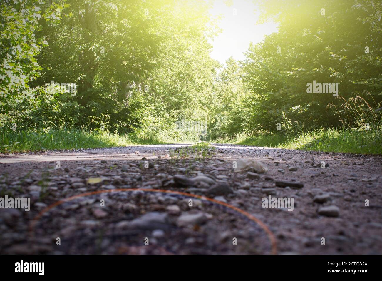 Die Sonnenstrahlen in Waldstraße und Bäumen Stockfoto