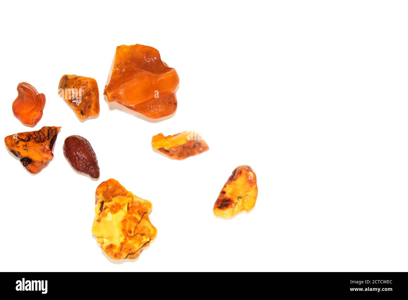 Acht verschiedene Bernsteinstücke auf weißem Hintergrund. Stockfoto