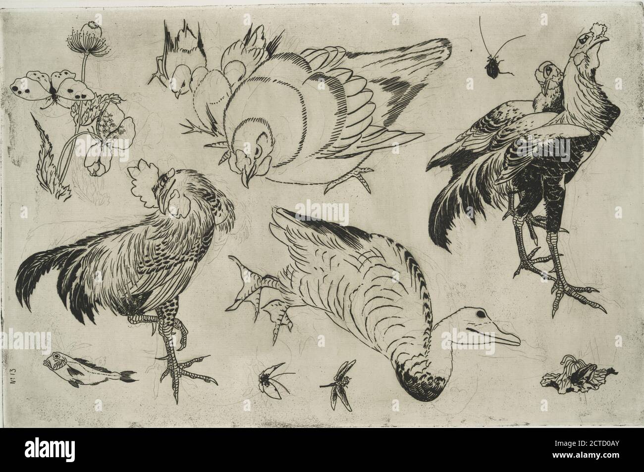 Coqs, Canards, etc., Standbild, Drucke, 1866 Stockfoto