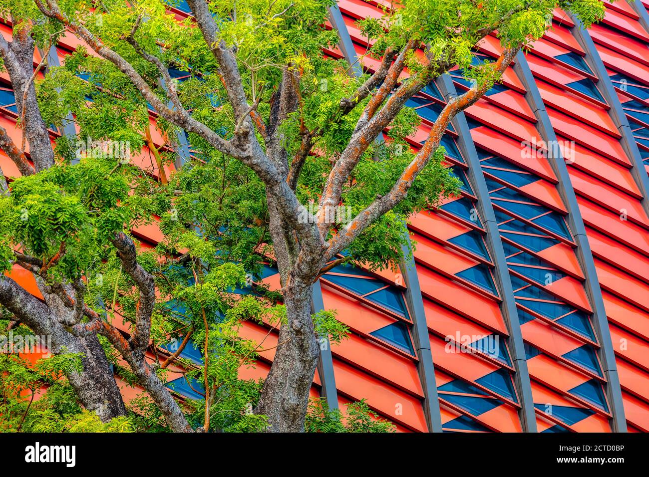 Nahaufnahme der Fassade des NUS University Sports Center, Singapur Stockfoto