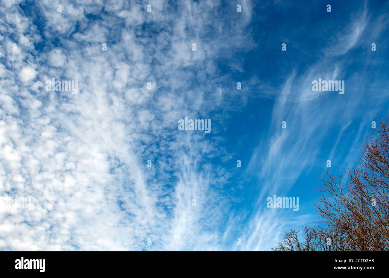 Mit nur einem Blick auf die Äste in der unteren Ecke scheinen die Gliedmaßen das Auge auf die Schönheit der weißen Wolken im Dunkelblau zu richten Stockfoto