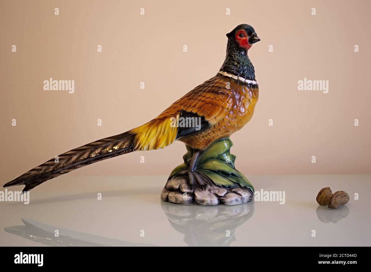 Fasanenstillleben bunt mit Walnüssen an der Basis auf einem neutralen Hintergrund fotografiert. Stockfoto