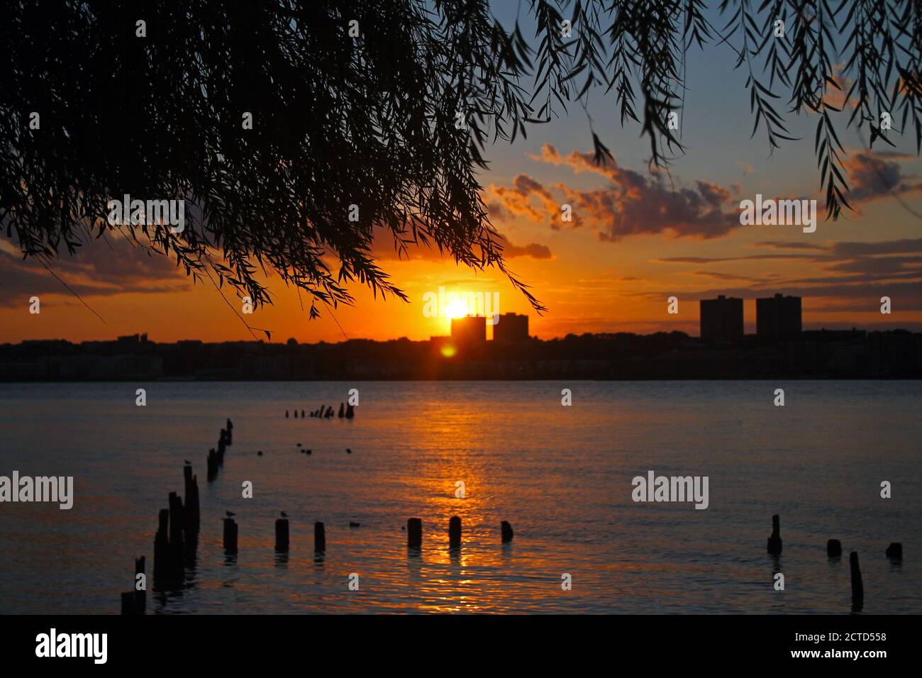 Der orange Sonnenuntergang auf dem Fluss und den Bäumen Stockfoto