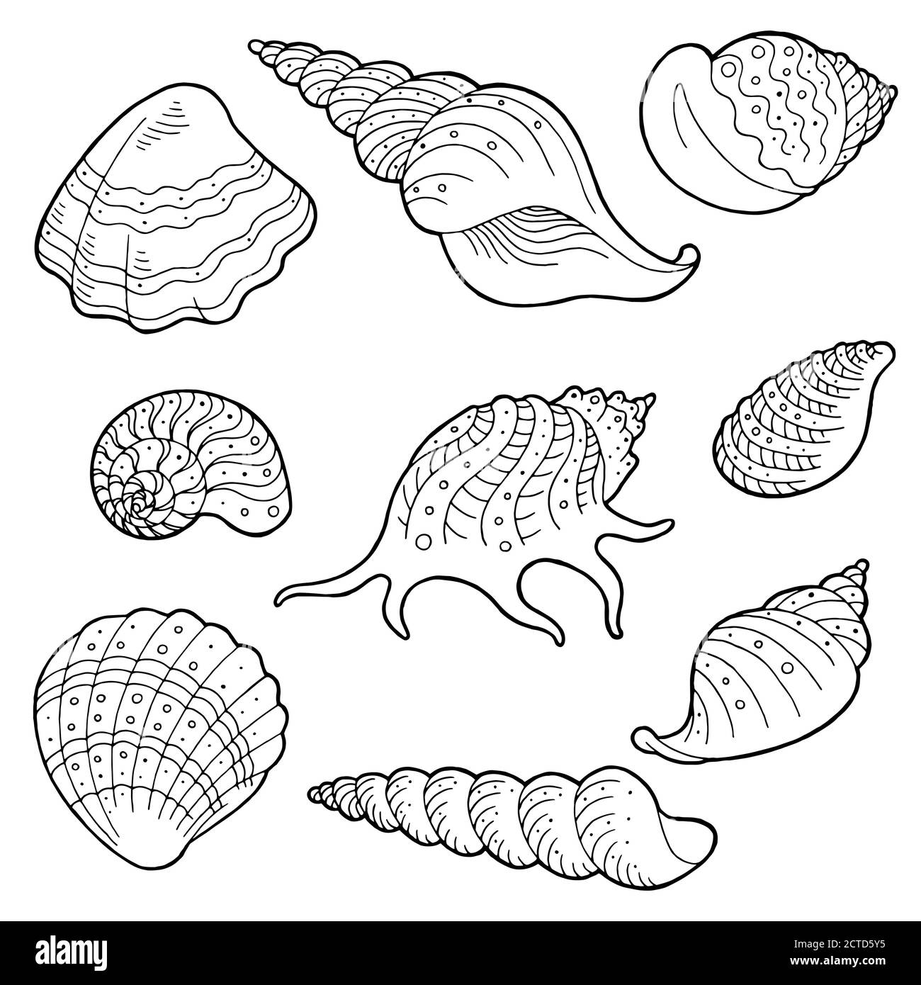 Shell Set Grafik schwarz weiß Skizze Illustration Vektor Stock Vektor