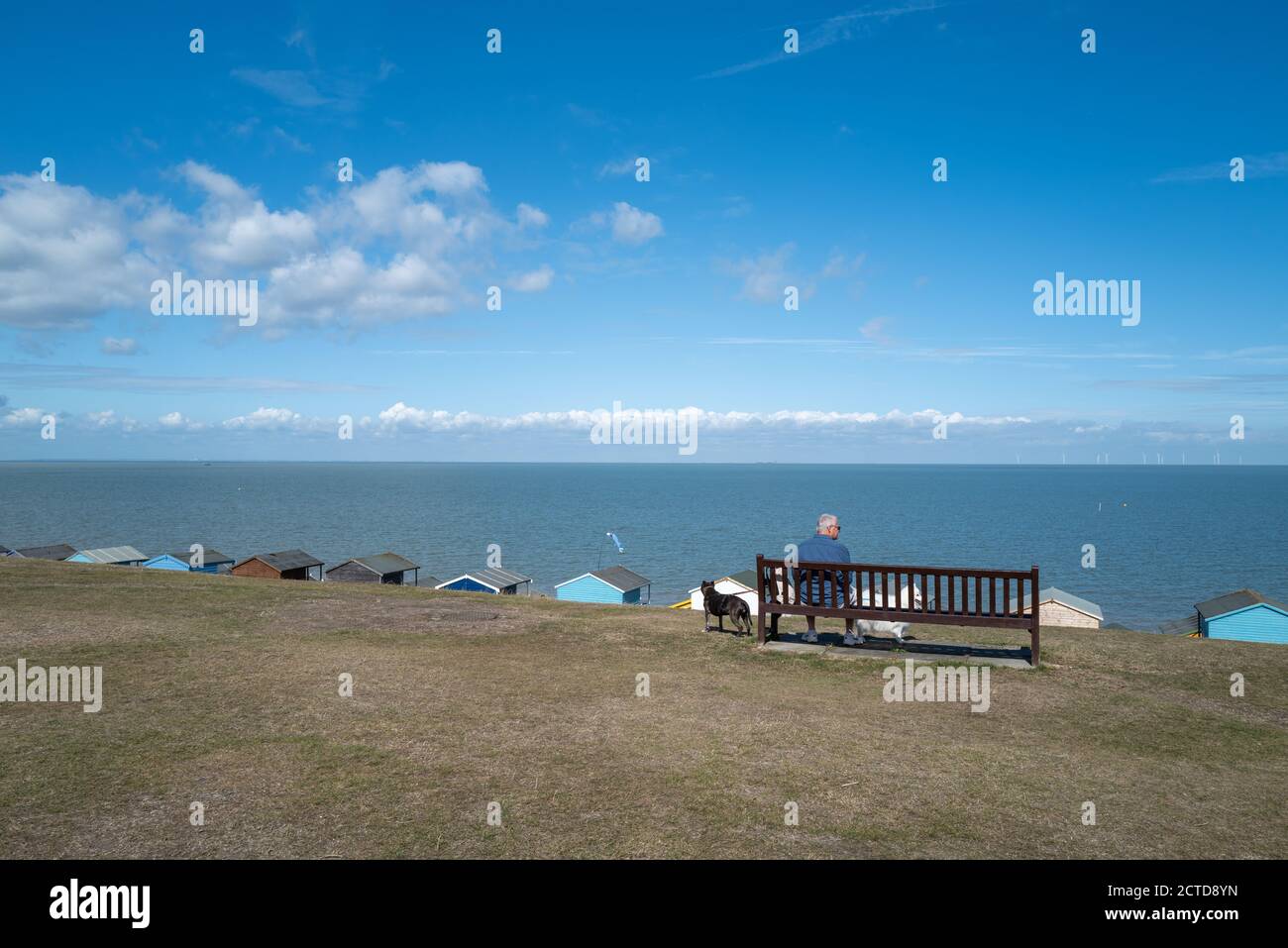 Whitstable, UK - 6. September 2020 EIN älterer Mann sitzt auf einer Bank mit Blick auf das Meer in Tankerton, Whistable. Er hat zwei Hunde dabei. Es gibt eine Reihe von b Stockfoto