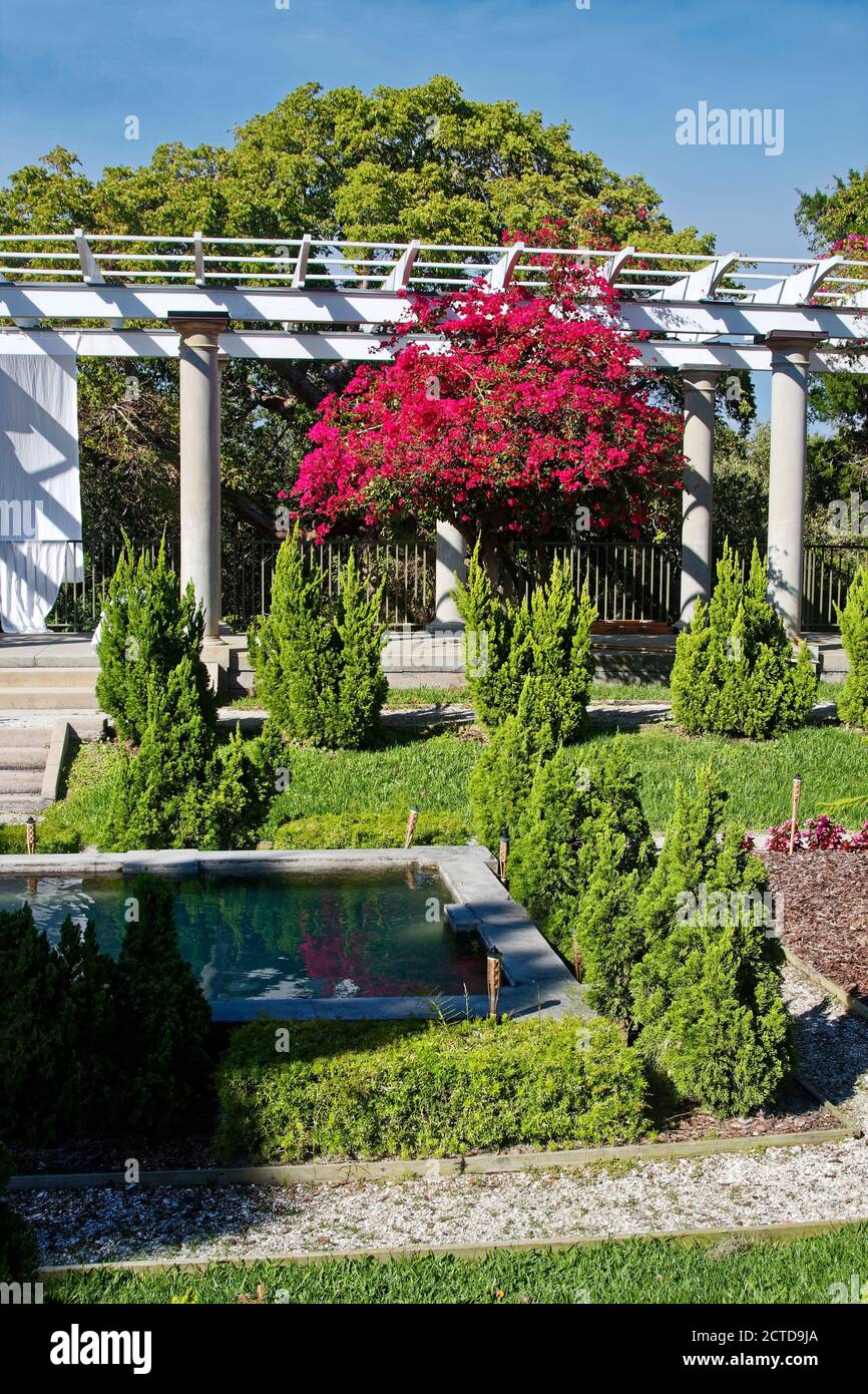 Pergola mit bougainvillea Fotos und Bildmaterial in hoher Auflösung