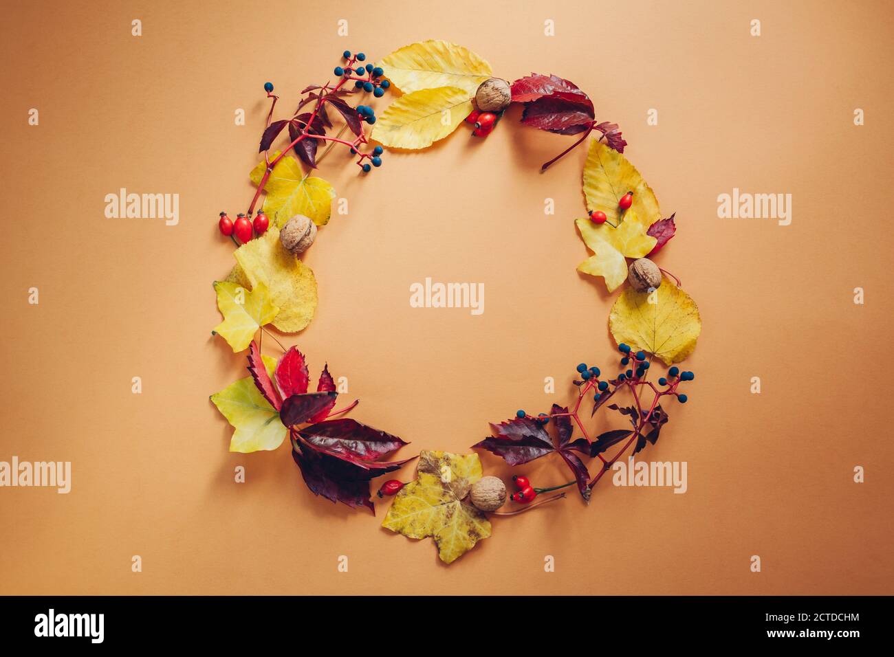 Herbstkomposition. Runder Rahmen aus herbstroten und gelben Blättern, Beeren und Nüssen. Flach liegend, Draufsicht, Kopierbereich. Stockfoto