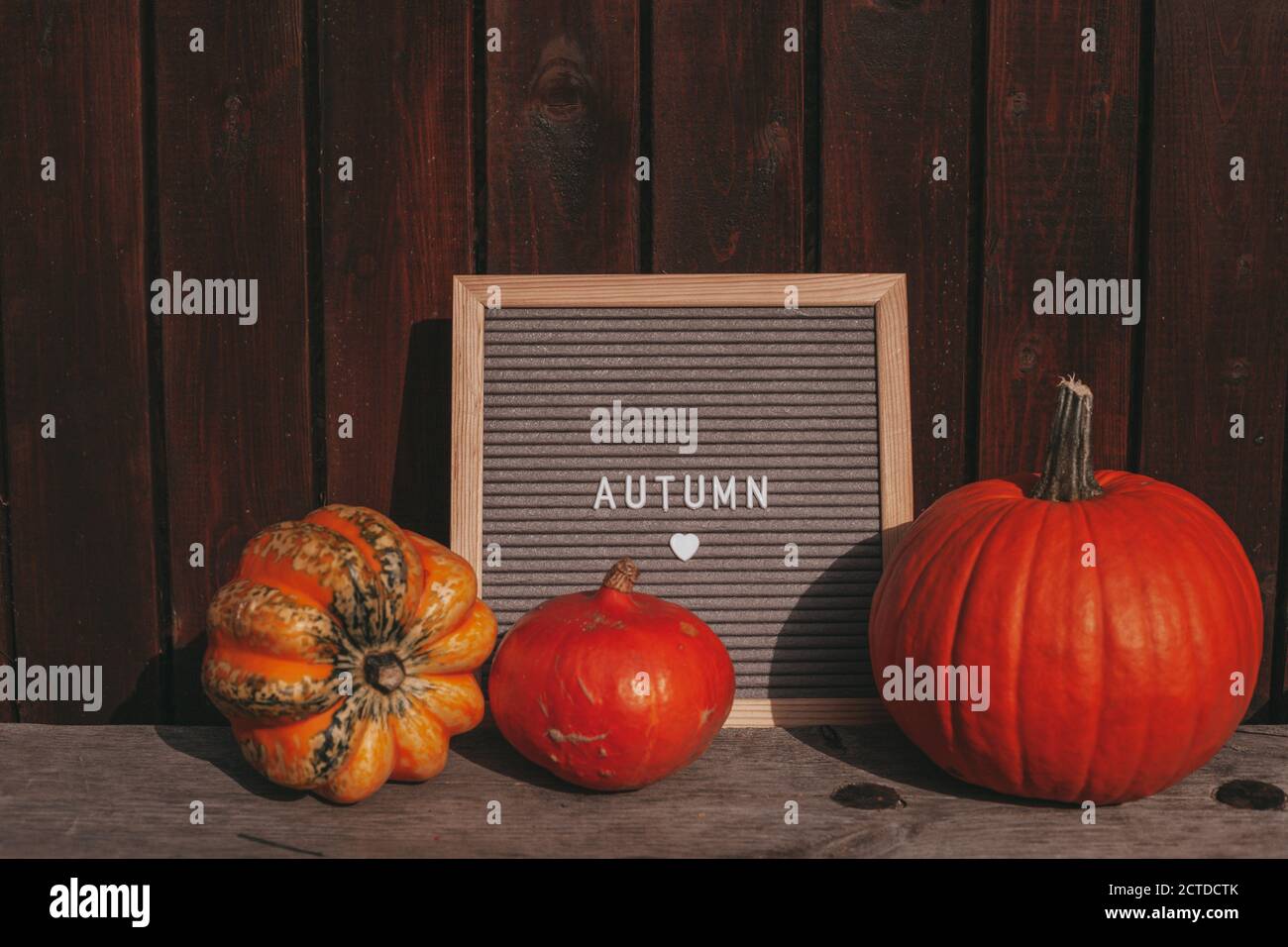 Hallo Herbstschild. Herbst-Mood-Board. Herbstkomposition mit Kürbis, Message Board. Gemütliche Herbststimmung. Rustikaler Hintergrund. Stockfoto