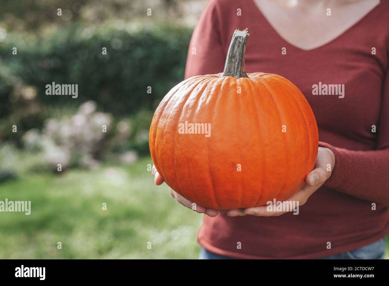 Frau hält einen Kürbis in einem Garten. Herbststimmung. Hallo Herbst, Danksagung, Herbstkonzept. Stockfoto