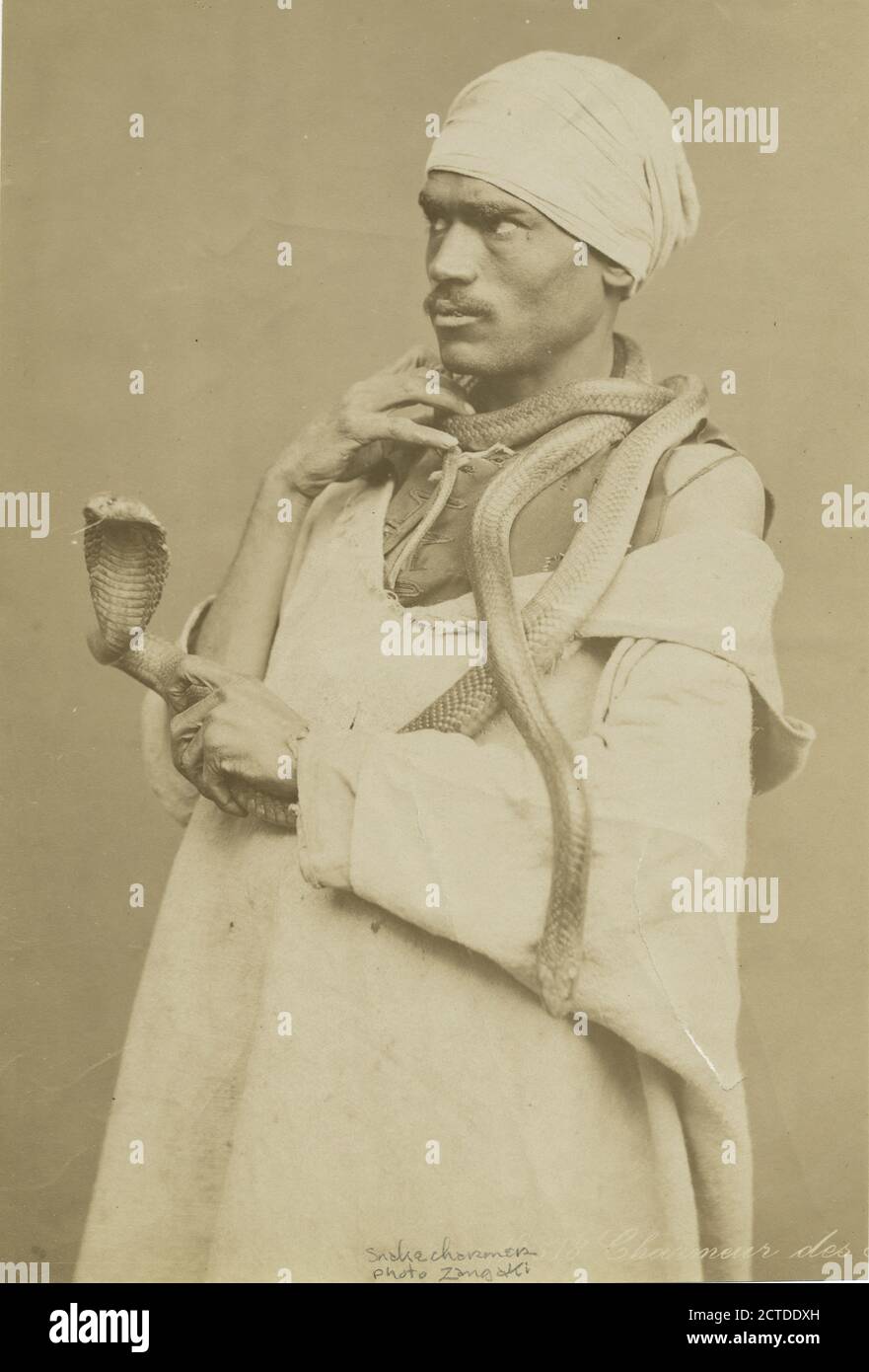 Charmeur des Serpents., Standbild, Fotografien, 1860 - 1929, Zangaki Stockfoto