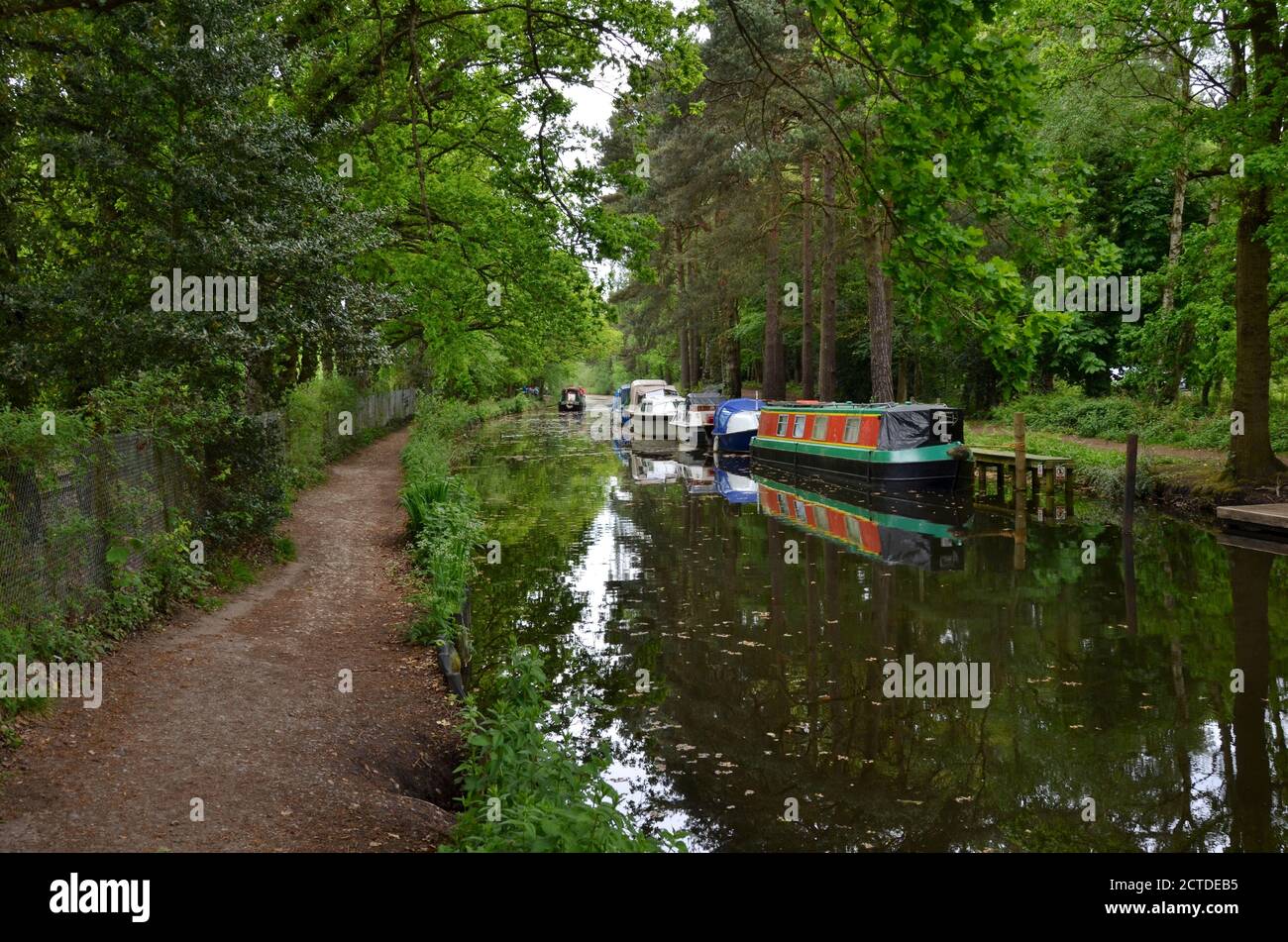 Festgemacht Boote werden in den stillen Gewässern der reflektiert Wunderschöner Basingstoke Canal in Surrey Stockfoto