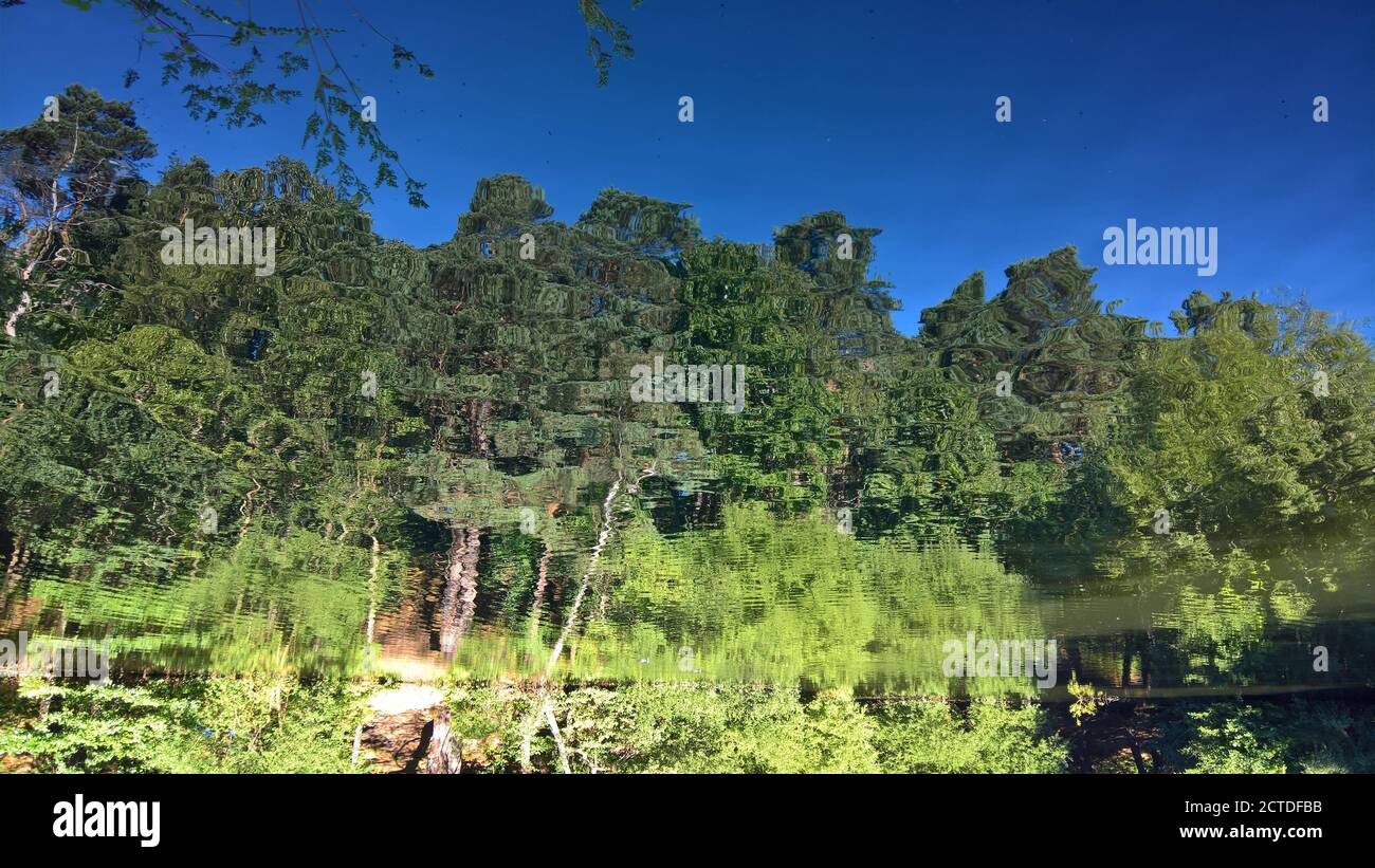 Bäume spiegeln sich in diesem inverierten Foto des Wassers wider Des schönen Basingstoke Canal in Surrey Stockfoto