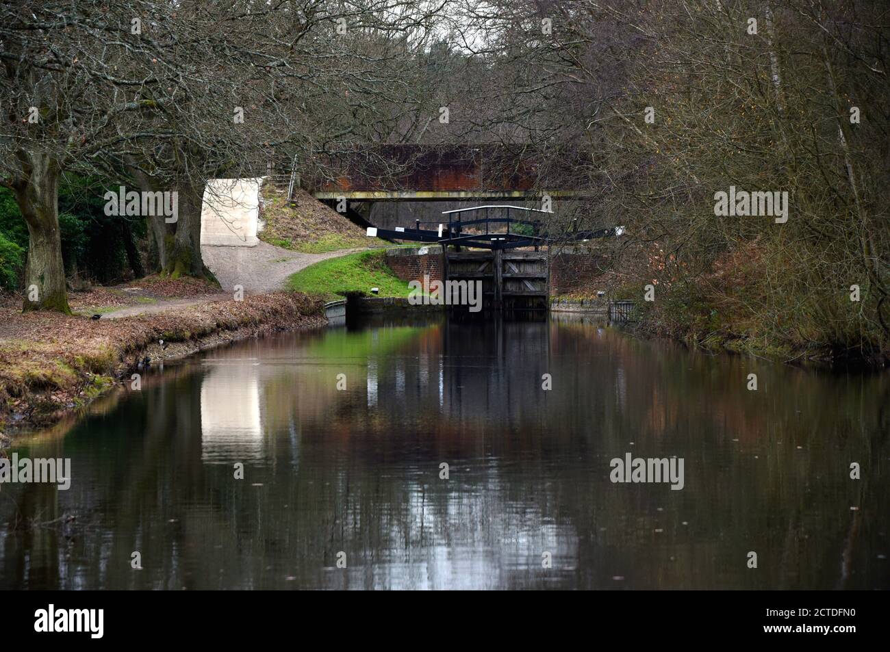 Grünes Gras sticht an einem bewölkten Wintertag hervor Der wunderschöne Basingstoke Kanal bei Deepcut in Surrey Stockfoto