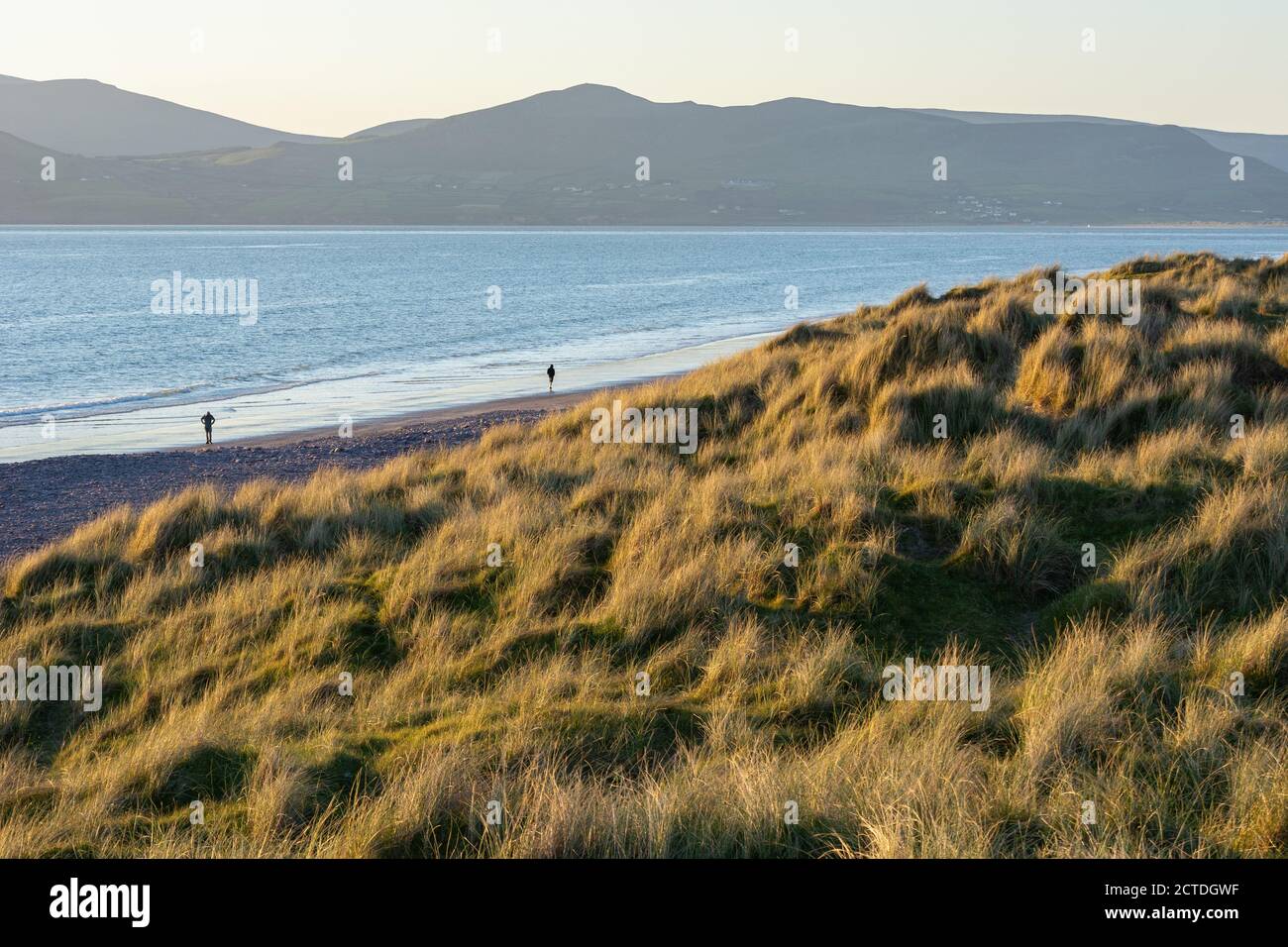 Schöner Sonnenuntergang in den Dünen am Ring of Kerry, Irland. Landschaftlich schöner Sonnenuntergang an einem Strand in Irland. Stockfoto