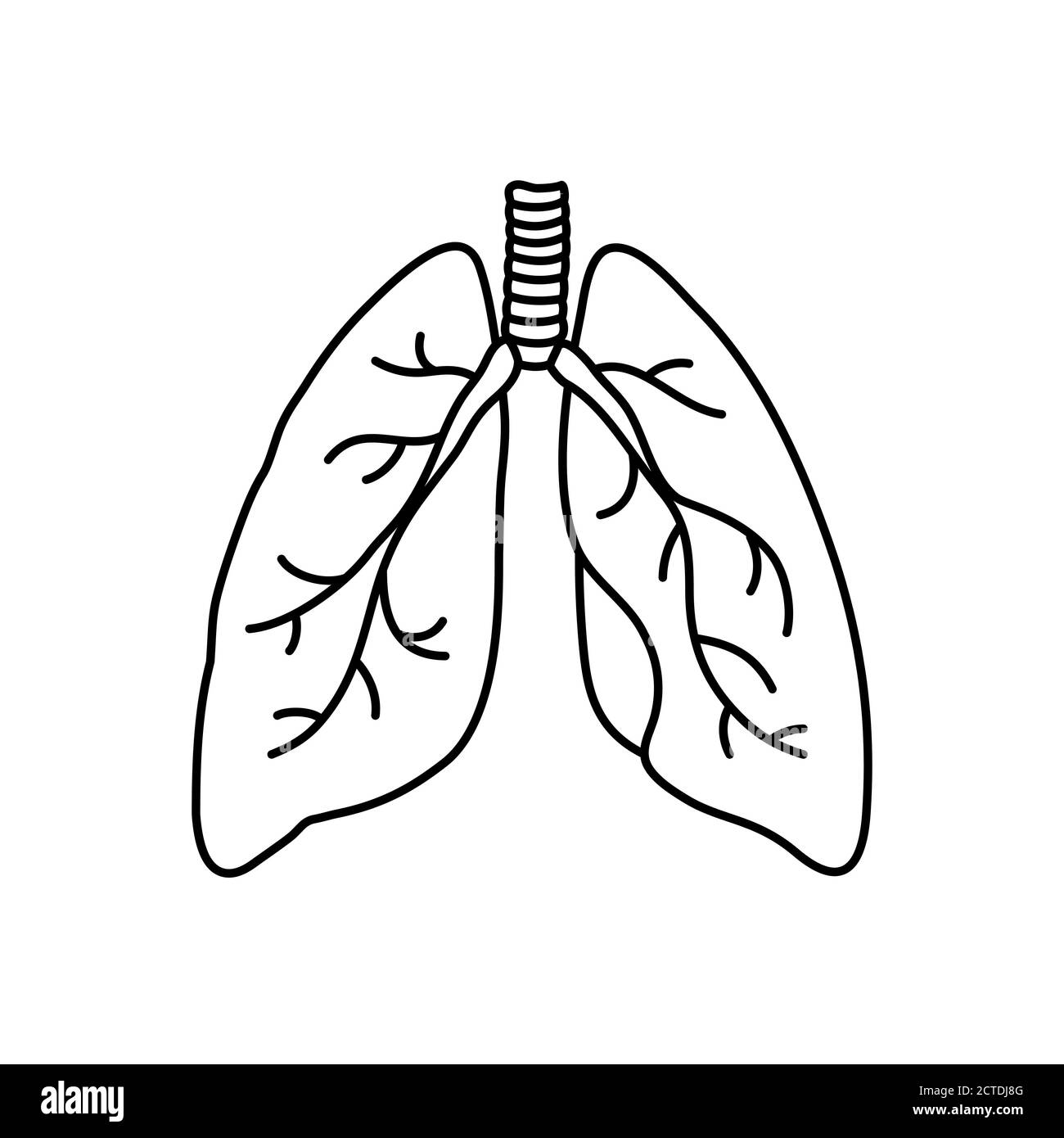 Vektorkonturdarstellung der menschlichen Lunge im flachen Stil. Symbol für innere Orgel, Logo. Anatomie, Medizin Konzept. Gesundheitswesen. Isoliert auf weißem Hintergrund. Stock Vektor