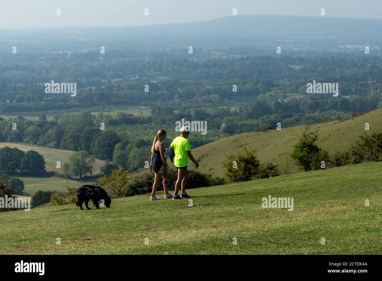 Hundespaziergänger auf Reigate Hill in der Surrey Hills Area of Outstanding Natural Beauty, Großbritannien Stockfoto