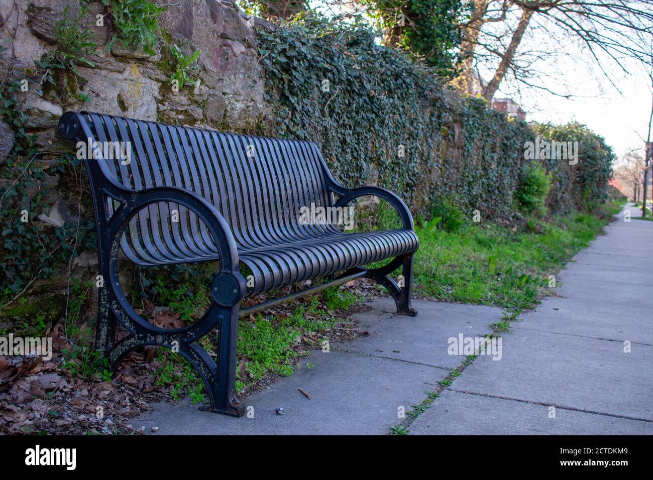 Eine schattige Parkbank gegen eine kopfsteingepflasterte Mauer Stockfoto