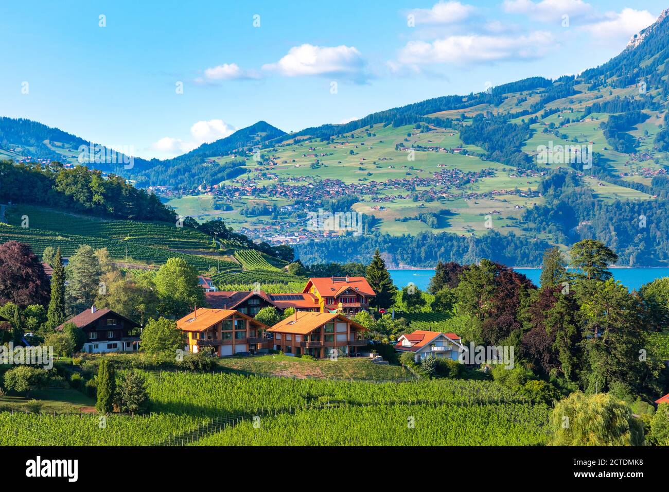 Spiez Dorf am Ufer des Thunersees im Schweizer Kanton Bern, Spiez, Schweiz. Stockfoto