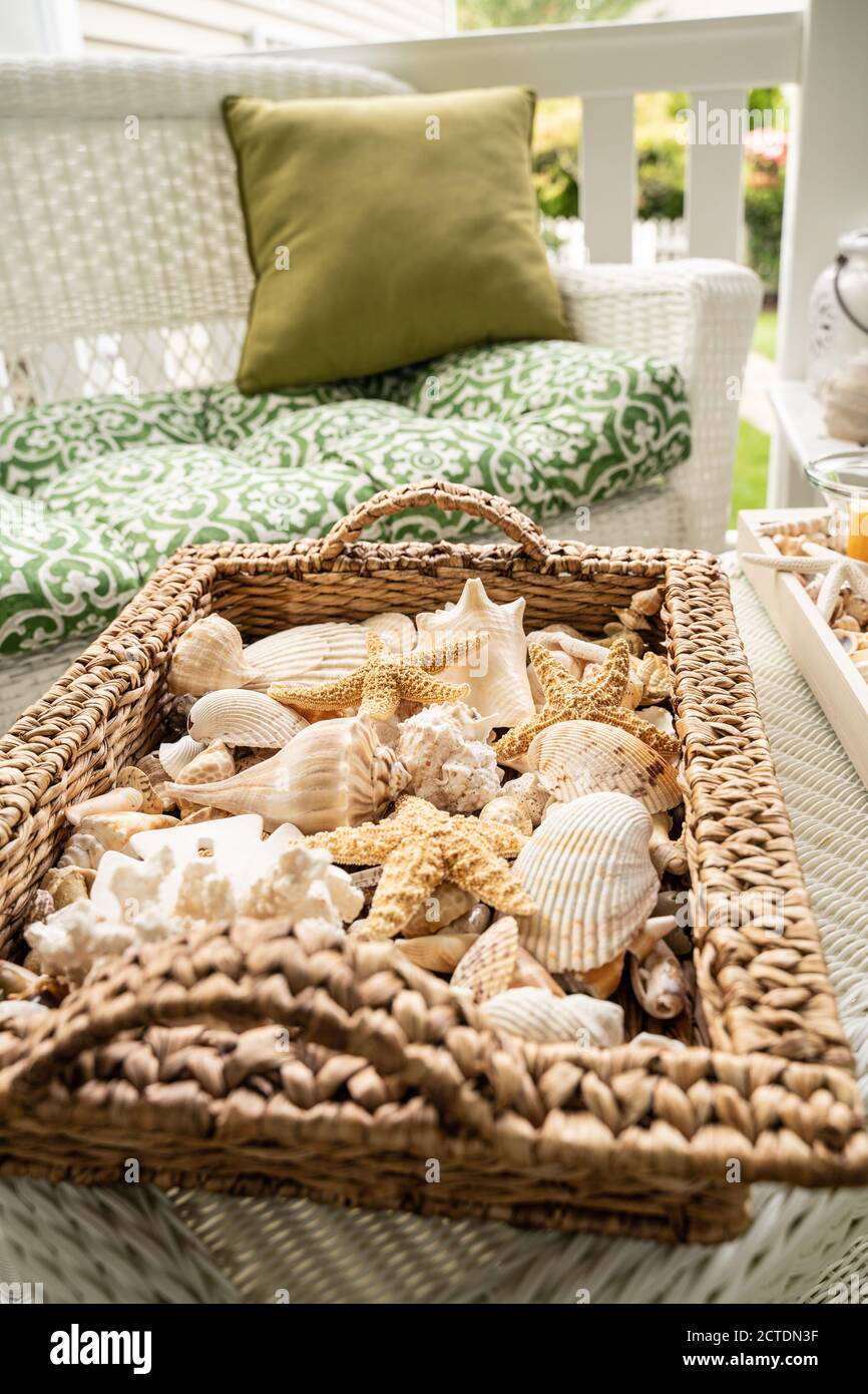 Wunderschön präsentiert von verschiedenen Muscheln einschließlich Seesterne und Sand Dollar auf der Sommerterrasse Stockfoto