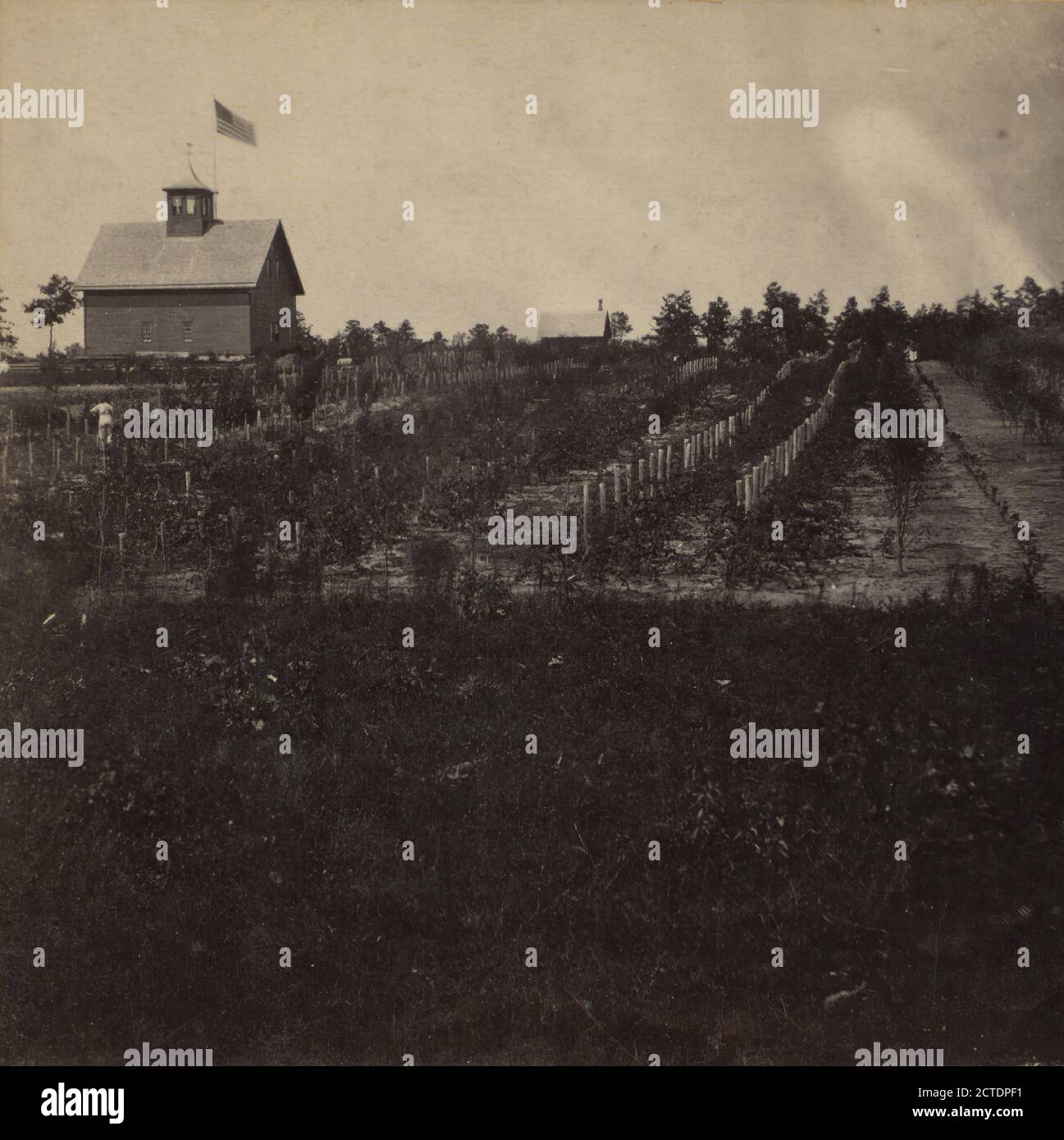 Blick auf einen Bauernhof., Johnson, Levi D. (1832-1905), Bauernhöfe, Landhäuser, New Jersey Stockfoto