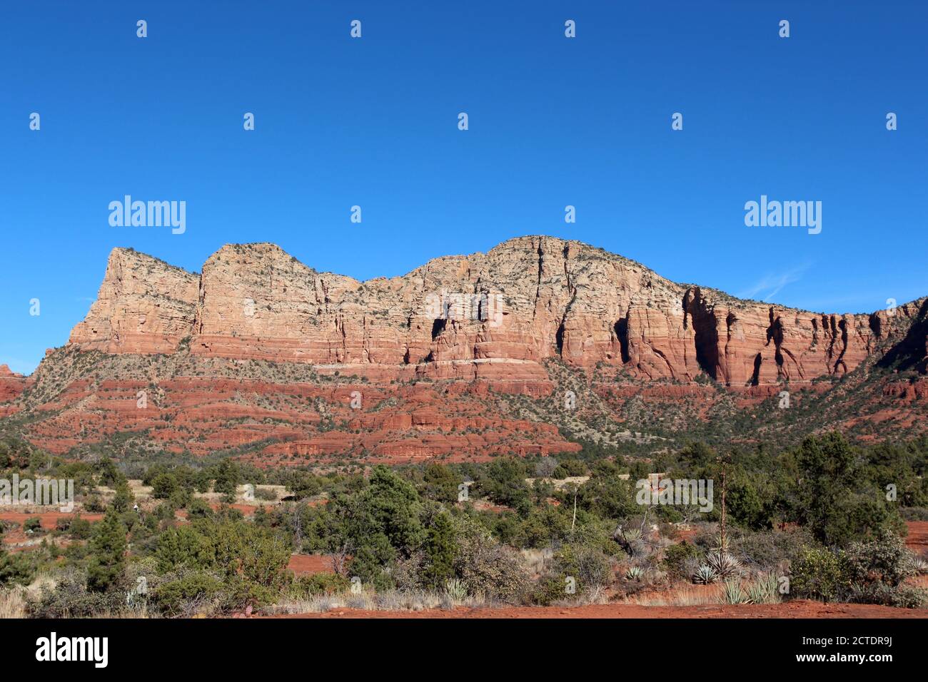 Die roten Sandstein- und weißen Kalksteinberge von Sedona mit immergrünen, Yuccas und trockenem Scheuerpinsel in Arizona, USA Stockfoto