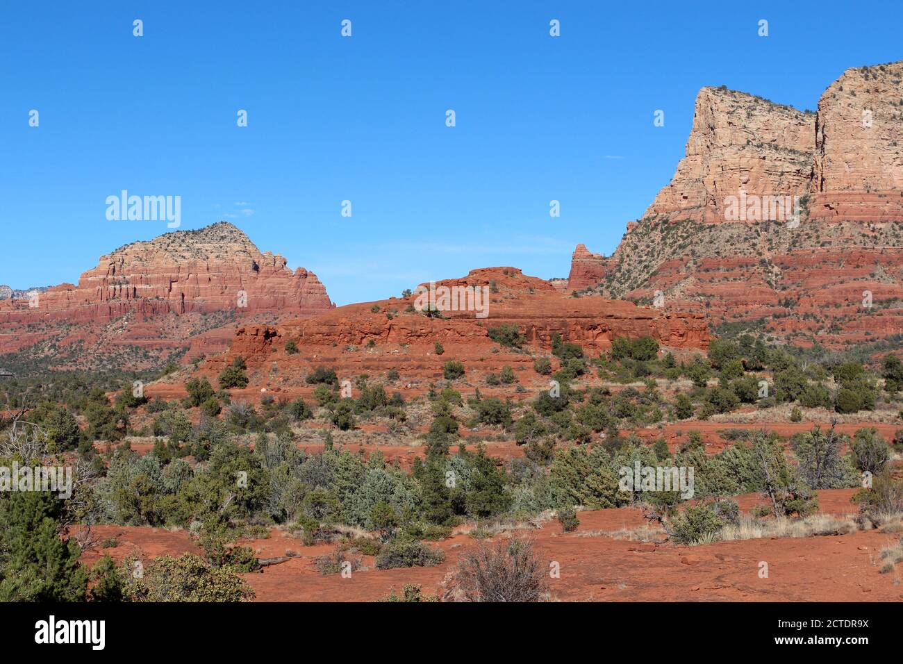Die roten Sandstein- und weißen Kalksteinberge von Sedona mit immergrünen, Yuccas und trockenem Scheuerpinsel in Arizona, USA Stockfoto