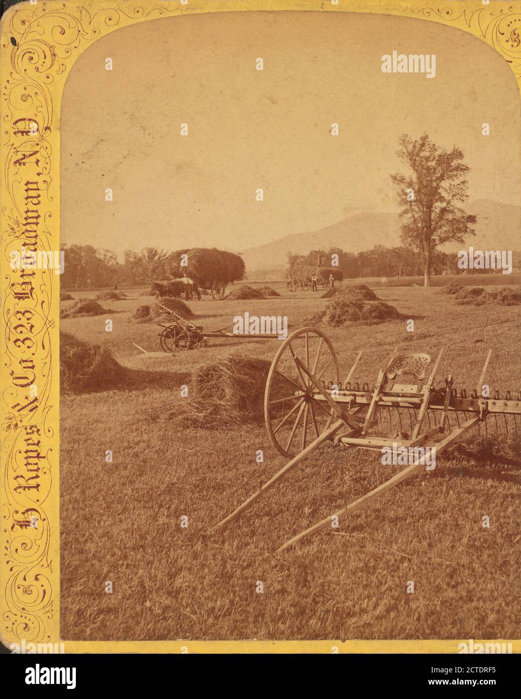 Haymaking and Meadows, North Conway, N.H., H. Ropes & Co., Landwirtschaft, Haystacks, New Hampshire, North Conway (N.H. Stockfoto