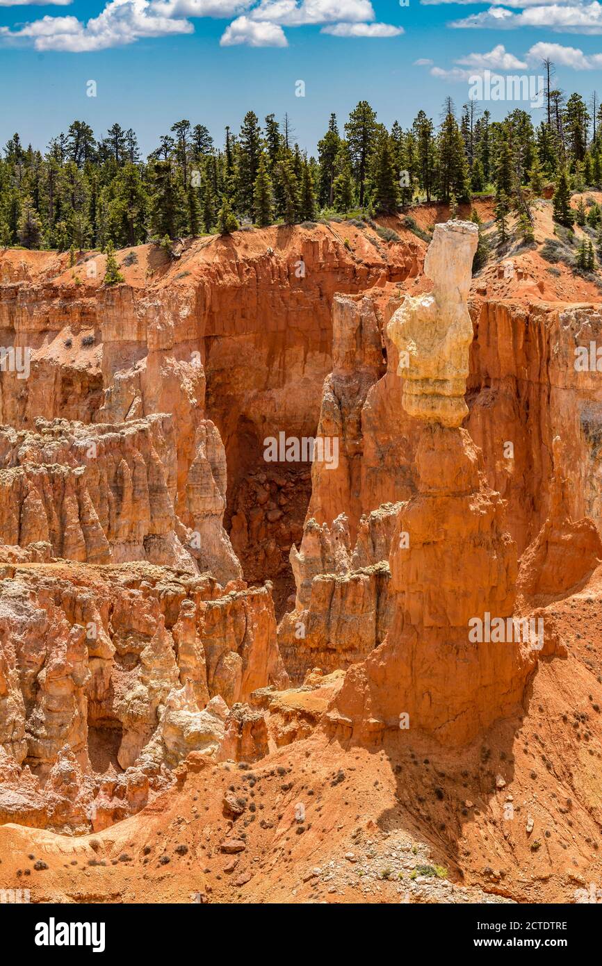 Agua Canyon Overlook im Bryce Canyon National Park, Utah Stockfoto