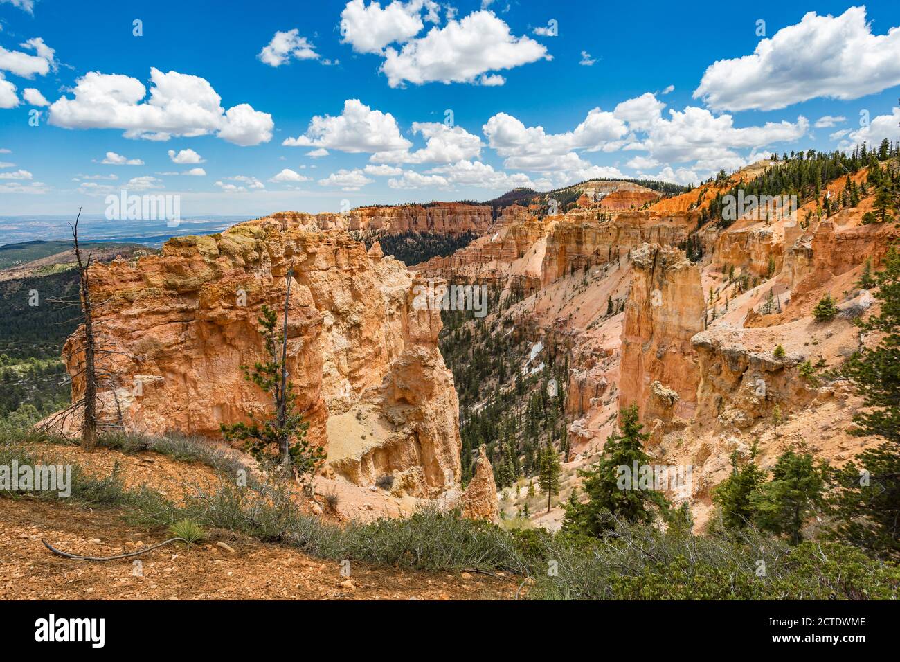Black Birch Canyon Overlook im Bryce Canyon National Park, Utah Stockfoto